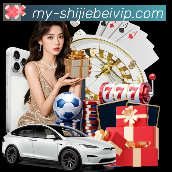 多彩内容专区